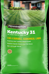 Pennington Kentucky 31 Series 100516056 Grass Seed, 50 lb Bag